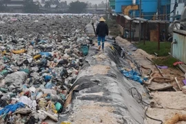 Khu xử lý rác thải Nam Sơn tiếp nhận rác trở lại