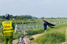 Máy bay sắp hạ cánh chợt phát hiện 3 chiếc diều gần đường băng