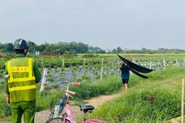 Máy bay sắp hạ cánh chợt phát hiện 3 chiếc diều gần đường băng