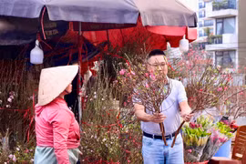 Không khí lạnh tăng cường yếu, Bắc bộ ấm đến Tết 