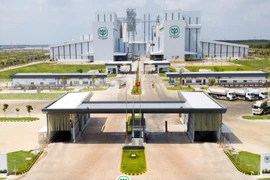 Người tố cáo C.P trà trộn lợn bệnh bán ra thị trường bị cho nghỉ việc