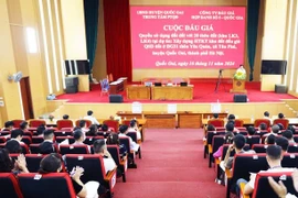 Đấu giá đất huyện Quốc Oai giá cao nhất gần 95 triệu đồng/m2