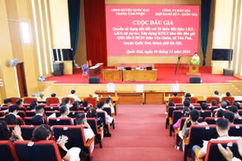Đấu giá đất huyện Quốc Oai giá cao nhất gần 95 triệu đồng/m2