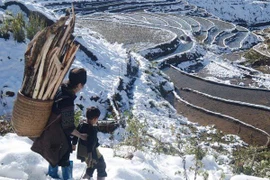 Miền Bắc đón đợt không khí lạnh cực mạnh, vùng núi có băng giá kéo dài sát Tết