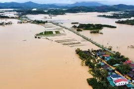 Lũ trên sông Thu Bồn ở Đà Nẵng vượt mức lịch sử năm 1964 