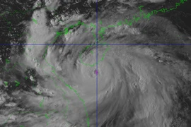 Trưa mai 25-8, bão số 5 dự kiến đổ bộ đất liền Thanh Hoá- Quảng Trị
