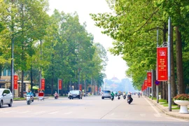 Di dời, chặt hạ 24 cây xanh phục vụ thi công mở rộng đường Hùng Vương kéo dài