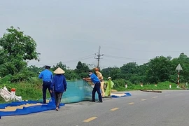 Kiểm tra, xử lý tình trạng sử dụng lòng đường để phơi thóc