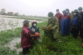 Áp thấp nhiệt đới và bão bất thường có thể xuất hiện trên Biển Đông trong tuần này