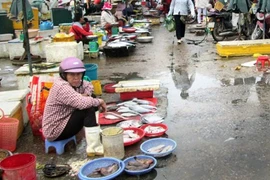 Phải lấy mẫu kiểm tra, xác nhận cá an toàn trước khi bán