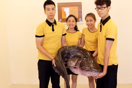 Cá khủng Tây Nguyên lên bàn tiệc Hà Nội