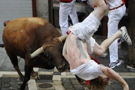 Những khoảnh khắc thót tim trong lễ hội bò tót ở Tây Ban Nha