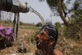 Nắng nóng 48 độ C giết chết hơn 500 người Ấn Độ