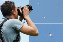 Chộp được khoảnh khắc “phi đội UFO” lượn lờ trên bầu trời Tây Ban Nha