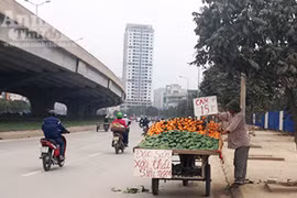 Giật mình "chợ hoa quả" giá bèo, không rõ xuất xứ nguồn gốc ở Hà Nội