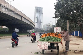 Giật mình "chợ hoa quả" giá bèo, không rõ xuất xứ nguồn gốc ở Hà Nội