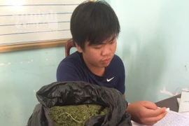 Hơn 2kg cỏ Mỹ vận chuyển "an toàn" qua đường bưu điện từ Hà Nội vào Đắk Lắk