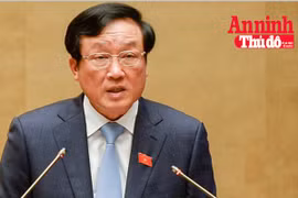 [Infographic] Chánh án Tòa án nhân dân Tối cao Nguyễn Hòa Bình