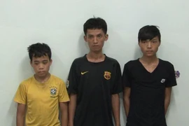 Khám phá ổ nhóm trộm cắp tài sản ở đình, chùa