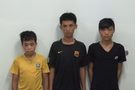 Khám phá ổ nhóm trộm cắp tài sản ở đình, chùa