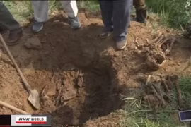 Phát hiện nhiều hài cốt người Nhật Bản ở Bắc Triều Tiên