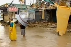 25 người thiệt mạng vì bão Saola