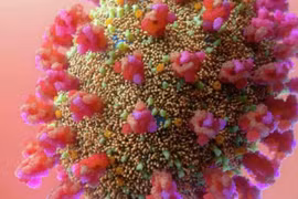 Phát hiện biến thể phụ của Omicron dễ lây lan hơn chủng ban đầu