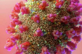 Phát hiện biến thể phụ của Omicron dễ lây lan hơn chủng ban đầu