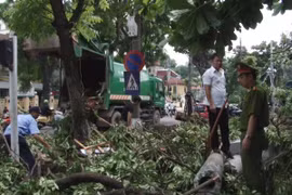 Cuộc sống của người dân Thủ đô trở lại sau cơn giông lốc