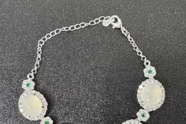 Siêu trộm đập kính ô tô trộm trang sức bị Công an huyện Gia Lâm bắt: Gây án cả ở Thái Nguyên và Hưng Yên