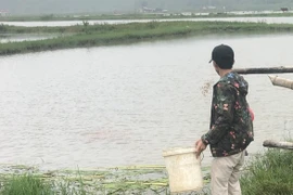 ‘Ngày về’ trọn vẹn của những ý chí biết hướng thiện