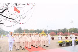 Đảng ủy Công an Trung ương, Bộ Công an vào Lăng viếng Chủ tịch Hồ Chí Minh 