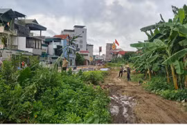 Quyết liệt đảm bảo tiến độ dự án xây dựng tuyến đường quan trọng trên địa bàn phường Cự Khối