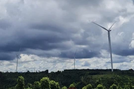 Hé lộ dấu hiệu tội phạm tại Công ty TNHH điện gió Quang Minh Đắk Nông