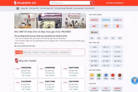 Các yếu tố quan trọng ảnh hưởng đến giá sim năm 2025