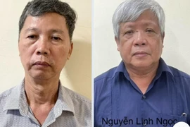 Vì sao ông Nguyễn Linh Ngọc, nguyên Thứ trưởng Bộ Tài nguyên và Môi trường bị bắt?