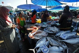 Nhà máy chế biến cá ngừ bồi thường lao động nghề cá 1 triệu USD