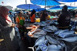 Nhà máy chế biến cá ngừ bồi thường lao động nghề cá 1 triệu USD