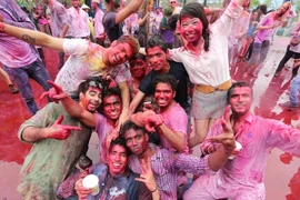 Bữa tiệc của những sắc màu