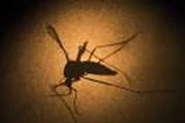 Phát hiện trường hợp nhiễm Zika đầu tiên tại Lào, Philippines