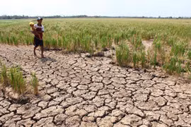 Khát khô vì đập thủy điện 