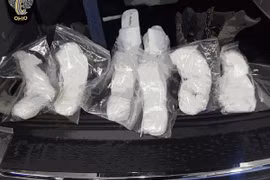 Giấu cocaine trong giầy cũng không thoát