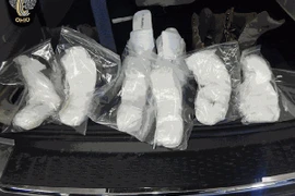 Giấu cocaine trong giầy cũng không thoát