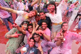 Bữa tiệc của những sắc màu