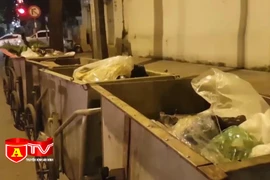 Từ 25/8, bị phạt tiền nếu không phân loại rác