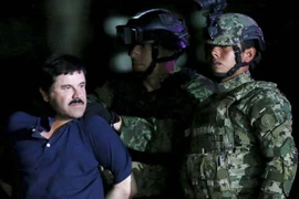 Những tin nhắn khiến "ông trùm" El Chapo sa lưới