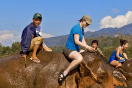 Đất nước "Triệu voi" hút khách