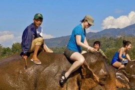 Đất nước "Triệu voi" hút khách