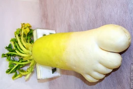 Lạ lùng củ cải ở Nhật có “5 ngón chân“