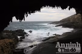 Bảy ngày vòng quanh Australia (4): Độc đáo đảo Kangaroo!